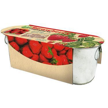 198826 Home Through Growing Kit new(001)