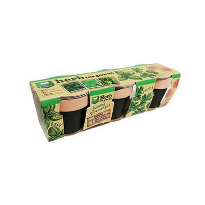 Pos lakre terracotta